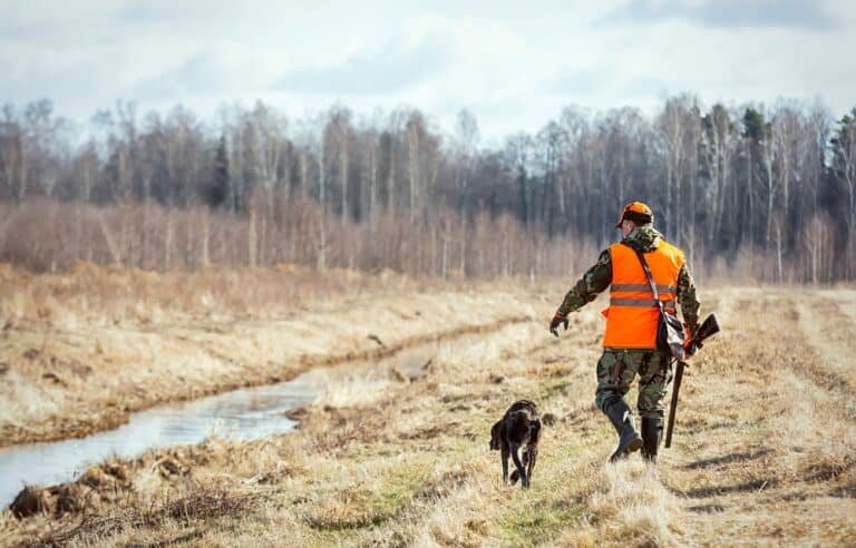 South Dakota Pheasant Hunting: A Powerful Experience in 2024