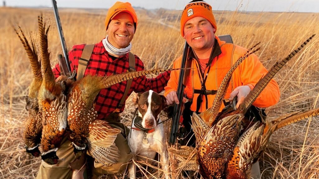 iowa pheasant hunting